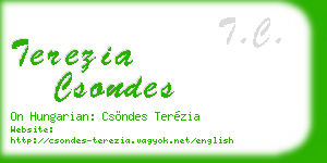 terezia csondes business card