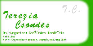 terezia csondes business card